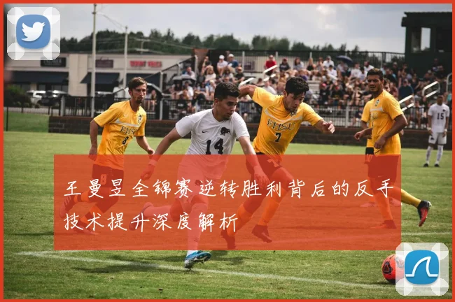 王曼昱全锦赛逆转胜利背后的反手技术提升深度解析